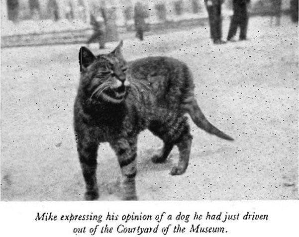 британския музей пазител на световната история