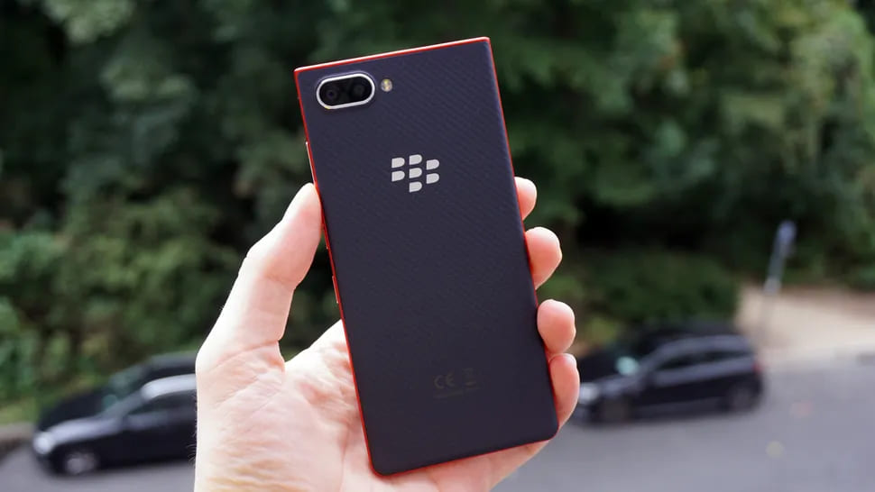 blackberry.jpg