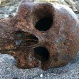 Череп на Човека дракон, открит край река Дракон, Харбин, Китай