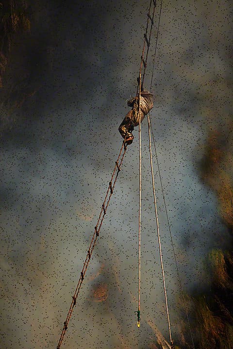 climb-for-honey-asks