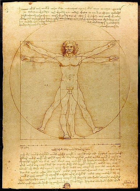 da_vinci_vitruve_luc_viatour.jpg
