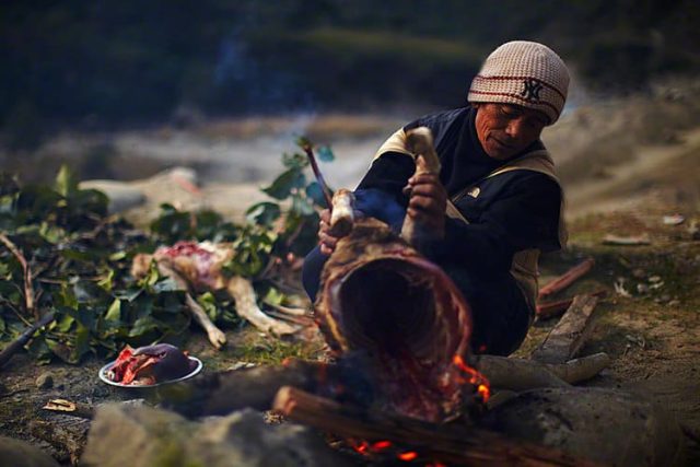 harvesting-crops