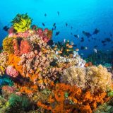 добив на минерали от морското дъно