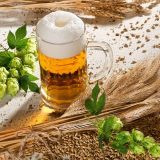 Богатството от вкусове и историята на бирата привличат