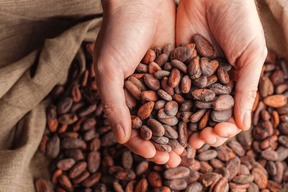 cocoa-beans-climate-change.jpg