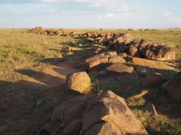 8000-годишни рисунки