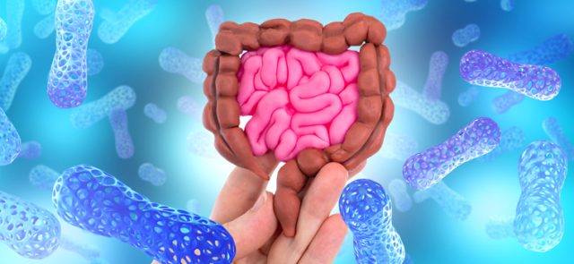 микробиота