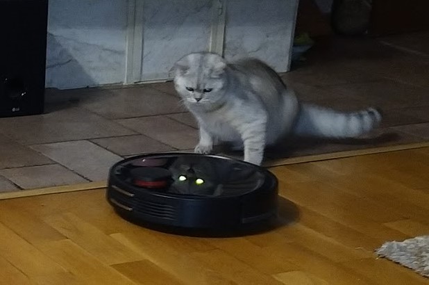 robot1.jpg