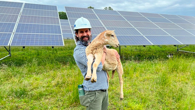 слънчева паша