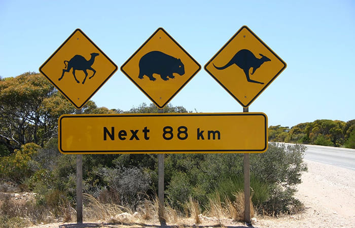 znak-australia.jpg