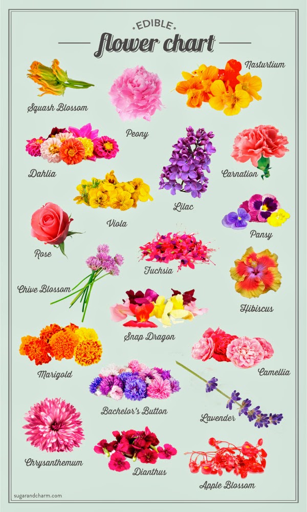 ядливи цветя