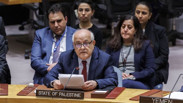 palestina-chlen-oon.jpg