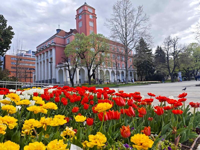 pleven-center-laleta.jpg