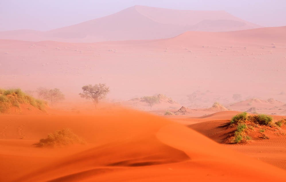 pusty_namib1.jpg