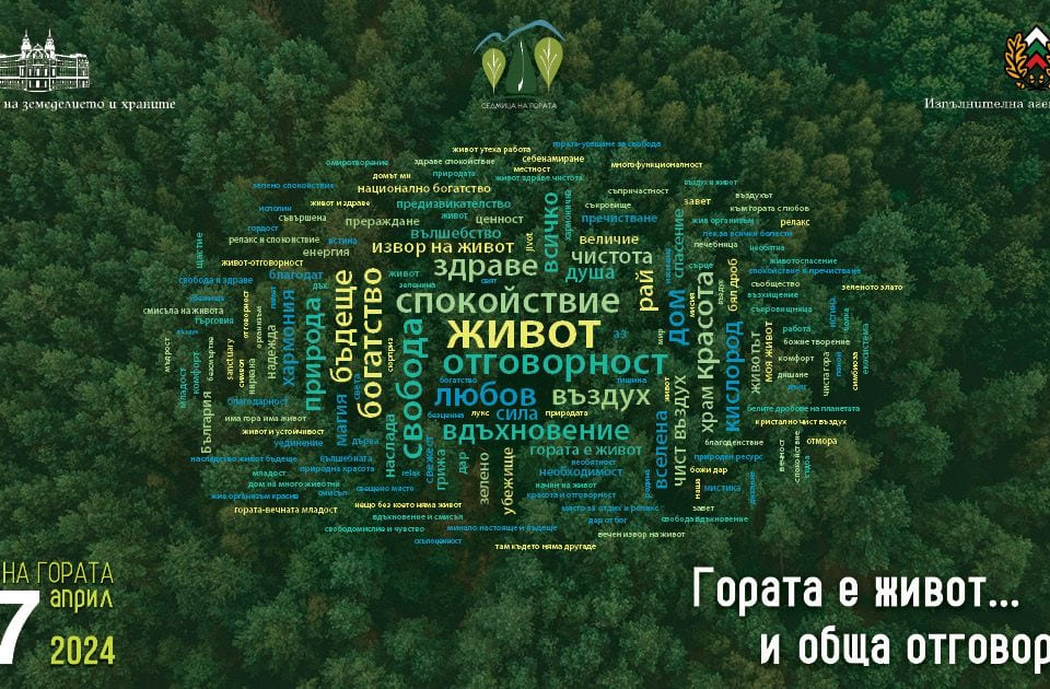 sliven-posreshta-sedmitsa-gorata-2024-g.jpeg