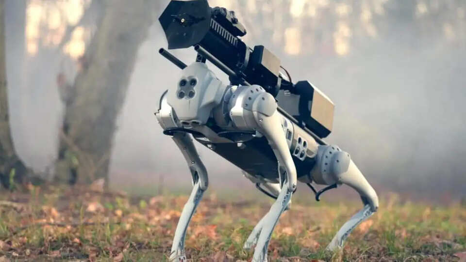 thermonator-dog.jpg