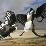 археоптерикс