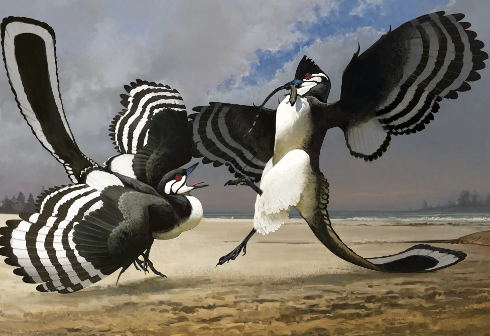 arxeopteriks1.jpg