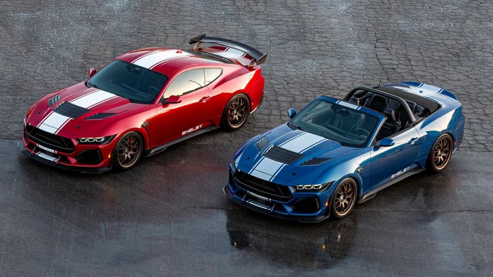 supersnake-shelby.jpg
