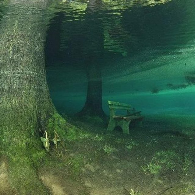 Зеленото езеро В Австрия