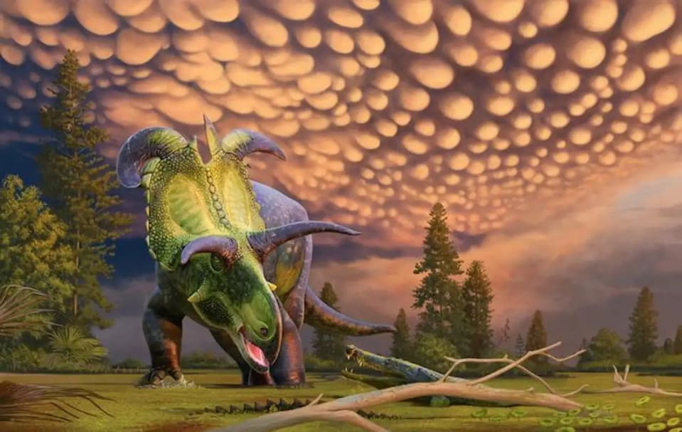 lokiceratops.jpg