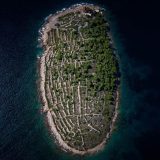 пръстов отпечатък