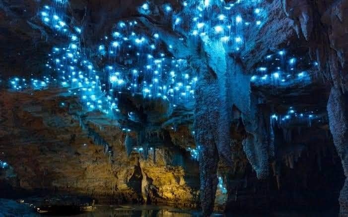 waitomo-caves.jpg