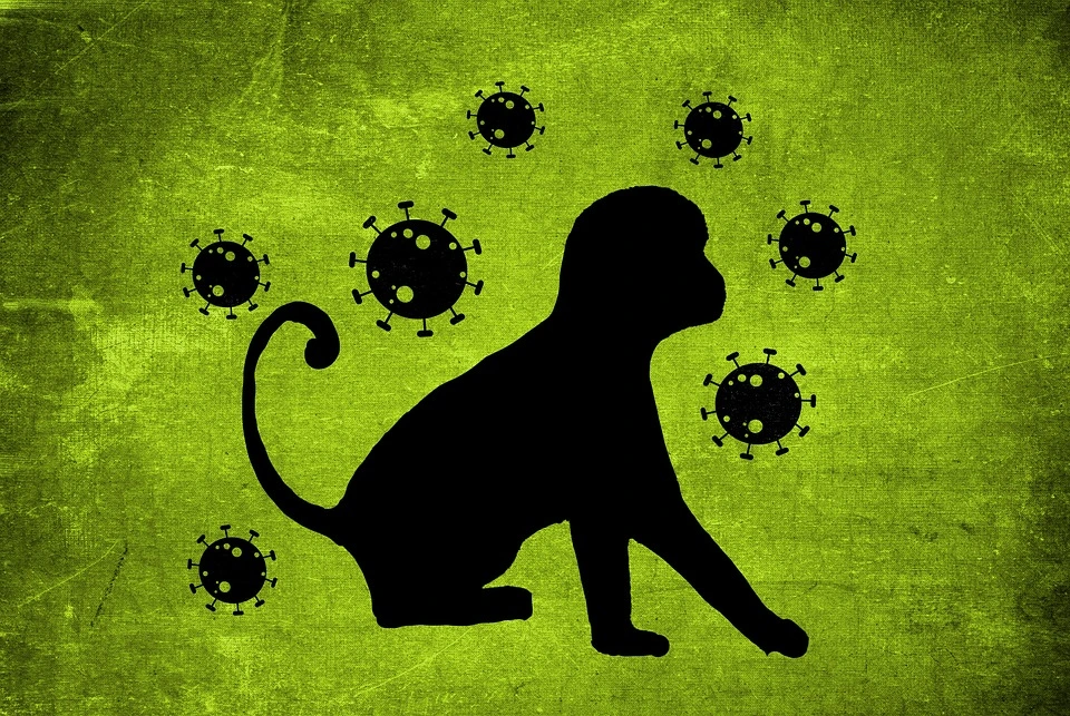 monkey-pox.webp