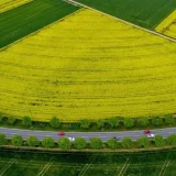 Рапица