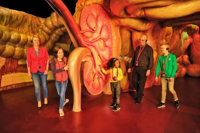 Музей на биологията на човека