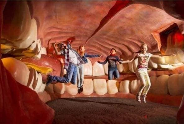 Музей на биологията на човека