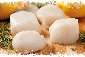 мида Сен Жак