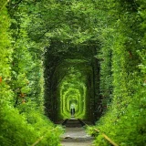 Тунелът на любовта