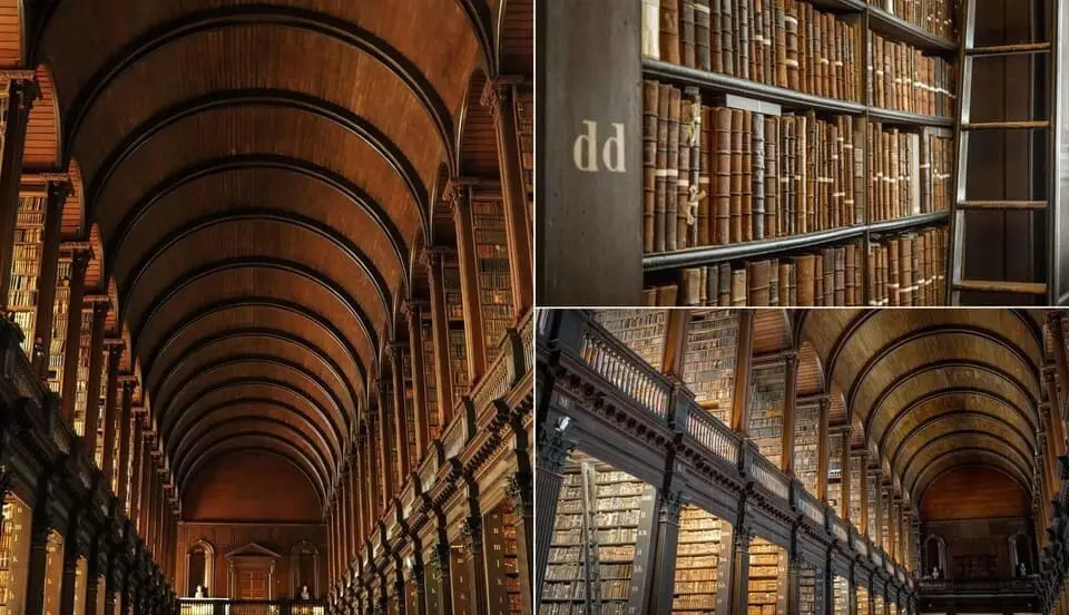 biblioteka.webp