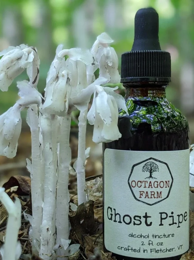 тинктура от Призрачното цвете - Индианска лула