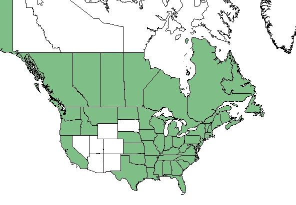разпространение на Призрачното цвете - Индианска лула