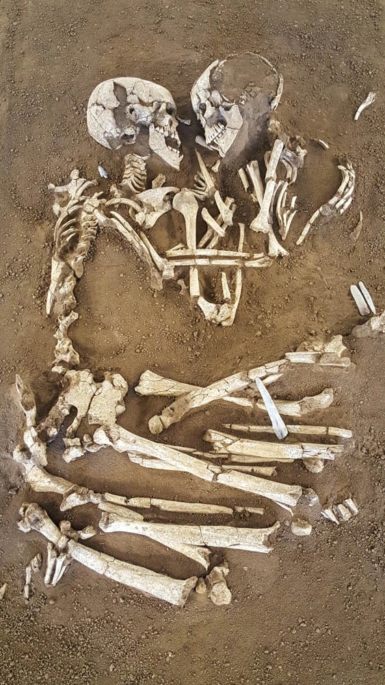 skeleti.webp