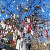 дърво на желанията Букурещ