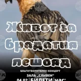 Брадат лешояд