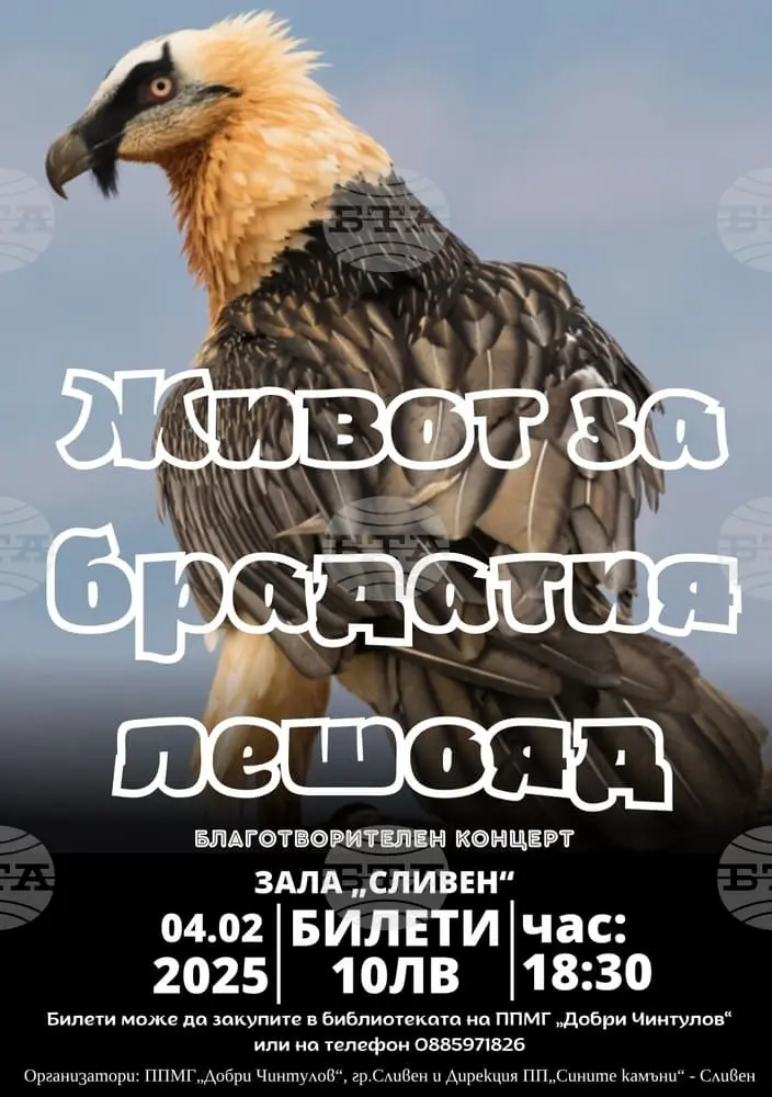 zhivot-za-bradatite-leshoyadi.webp