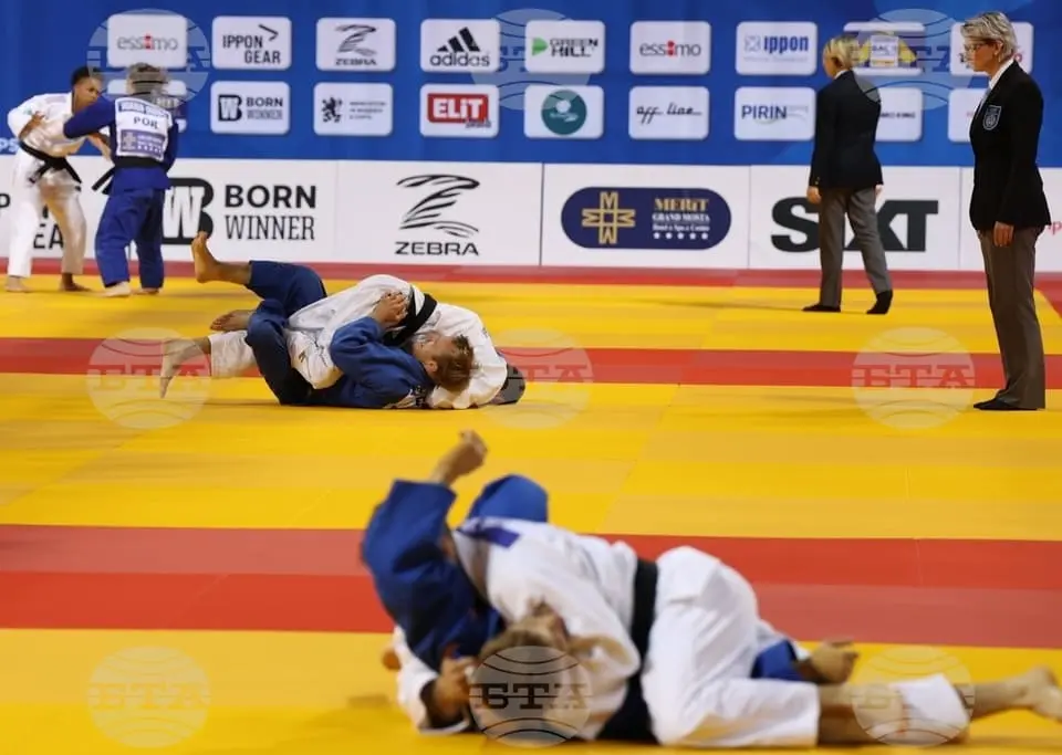 djudo.webp
