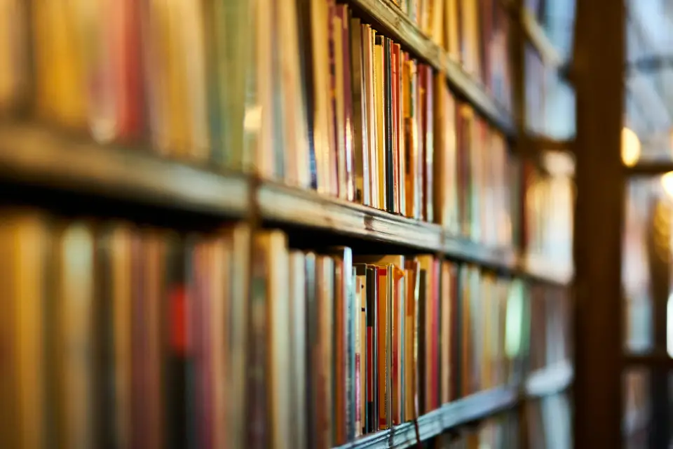 biblioteka.webp