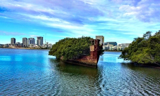 Плаваща гора в Австралия