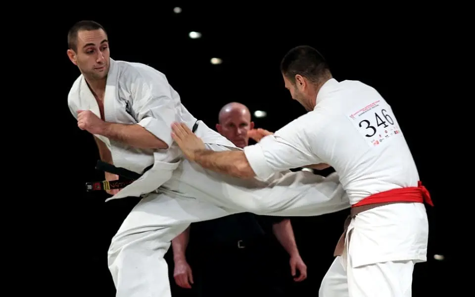 karate-shinkiokushin.webp