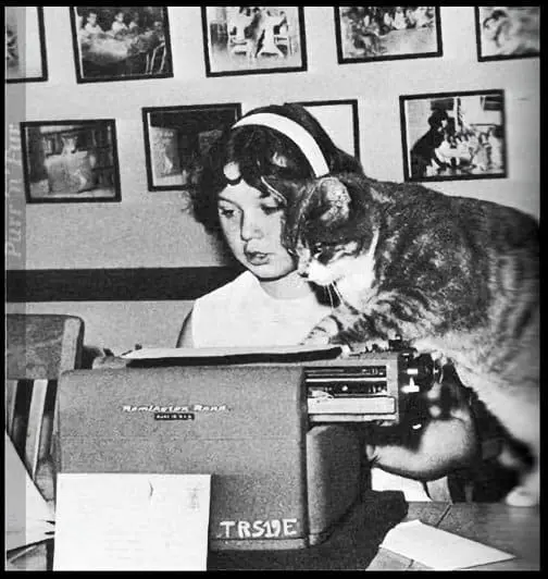 Котката в стая N8 помага на учениците