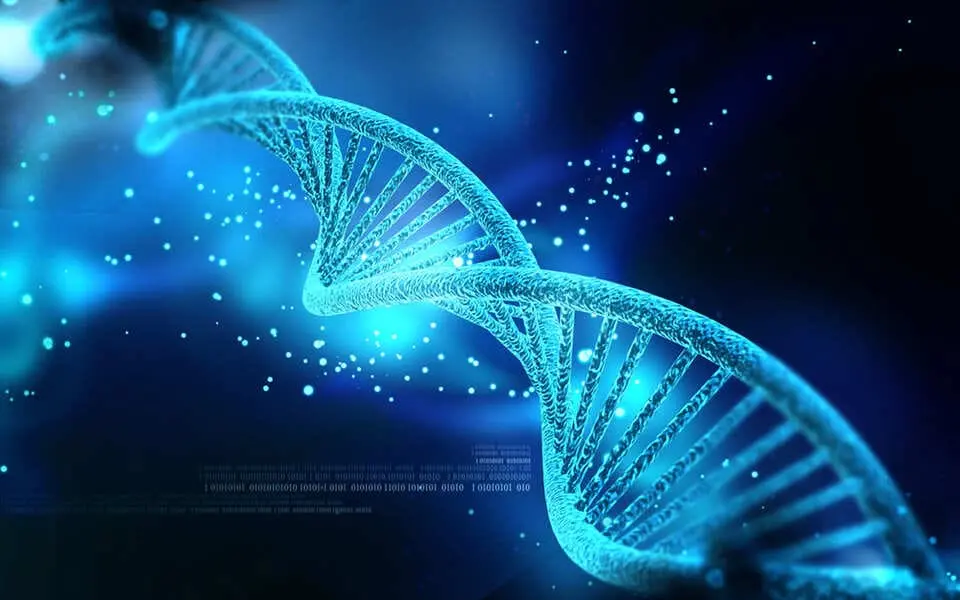 africa-dna.webp