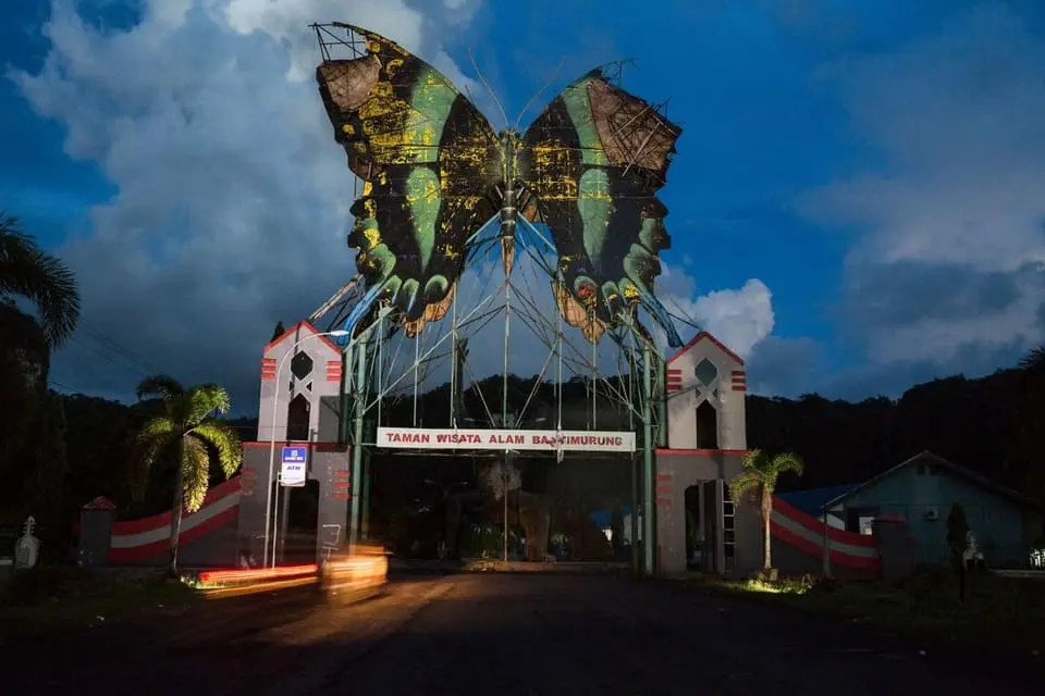 figura-na-papilio-blumei-ukrasyava-portala-na-ekoturisticheskiya-park-bantimurung.webp