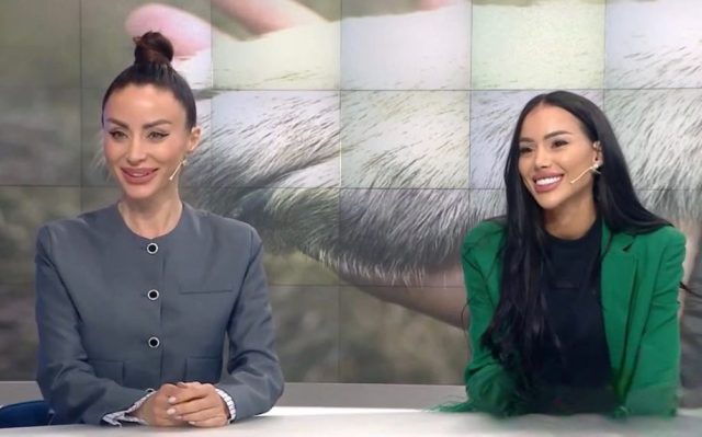 Kingdom Garden: Повече от базар