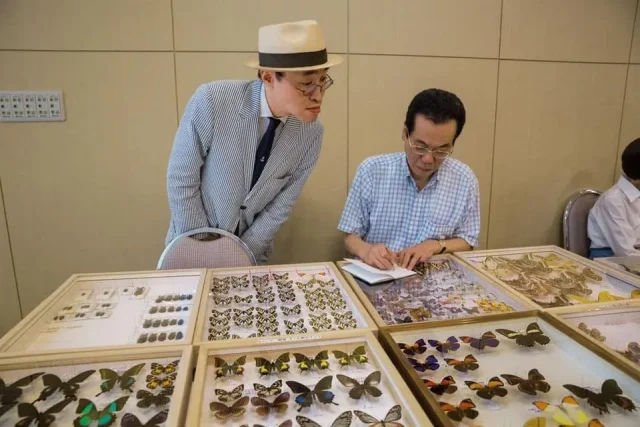 По време на търговия с пеперуди