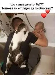 котка в банята